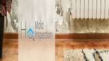 HQ Mold Inspection, San Diego