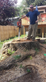  Stump & Grind 1437 Denver Ave, #237 