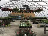  York Woods Tree Service 300 Harold L Dow Hwy 