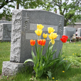  Darby Funeral Home 480 E Main St 