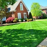 Rodriguez Landscaping Lawn Service, North Las Vegas
