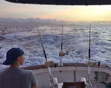  Ruckus Sportfishing and Diving 1125 Ala Moana Blvd 