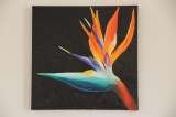 'Bird of Paradise', The Real Alexandra Designs, Mirdif