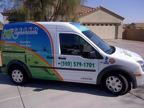  Profile Photos of Gecko Pest Management Inc 8430 N Thornydale Rd, #110-416 - Photo 2 of 3