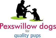  Profile Photos of Pexswillow Dogs Pexall Road - Photo 1 of 2