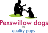 Pexswillow Dogs, Macclesfield,