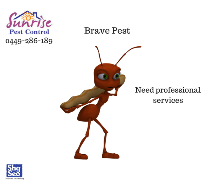  Profile Photos of Sunrise Pest Control 9 Mapleton Way - Photo 1 of 1