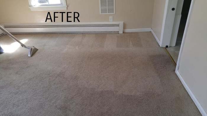  New Album of Woodson's Carpet Cleaning & Restoration 5436 Old Maumee Road unit 4 - Photo 2 of 5