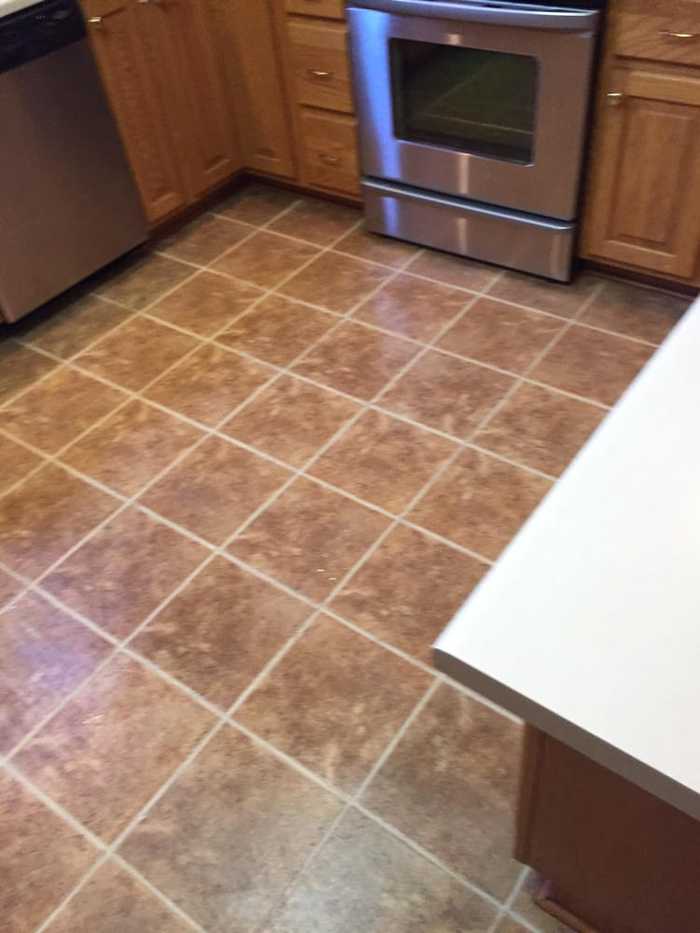  New Album of Woodson's Carpet Cleaning & Restoration 5436 Old Maumee Road unit 4 - Photo 3 of 5
