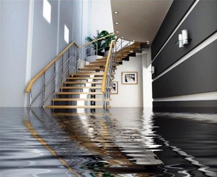  Profile Photos of Water Damage 7881 Silver Maple Ln - Photo 1 of 1
