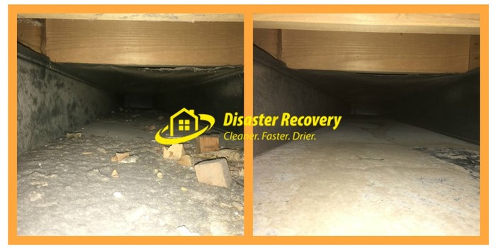  New Album of Disaster Recovery 3 Winland Court - Photo 4 of 11