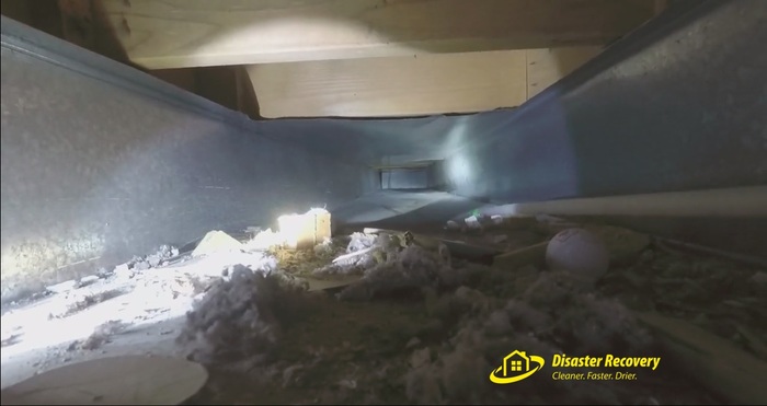  New Album of Disaster Recovery 3 Winland Court - Photo 5 of 11