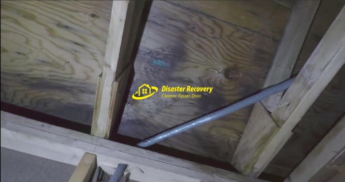  New Album of Disaster Recovery 3 Winland Court - Photo 7 of 11