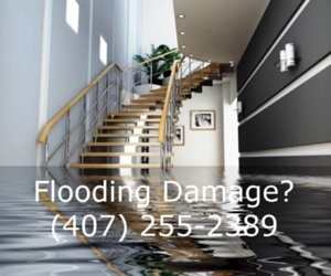 Water Damage Restoration Orlando FL Profile Photos of ASAP Flooding Pros 54 W Illiana St #14 - Photo 1 of 1