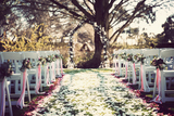 Event Organisers in Delhi, New Delhi