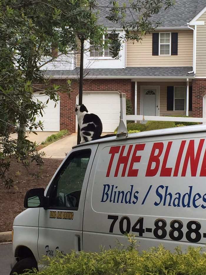  The Blind Man of The Blind Man 1120 Old Salisbury Concord Rd - Photo 3 of 3
