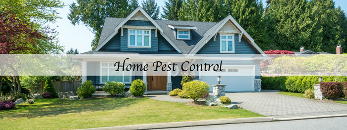  Profile Photos of Putman Pest Management, LLC 613 E Lee Rd - Photo 2 of 12