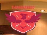 Thunderbird Custom Design, Goodyear