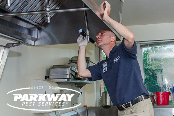  Profile Photos of Parkway Pest Services 100 Jericho Turnpike - Photo 2 of 9