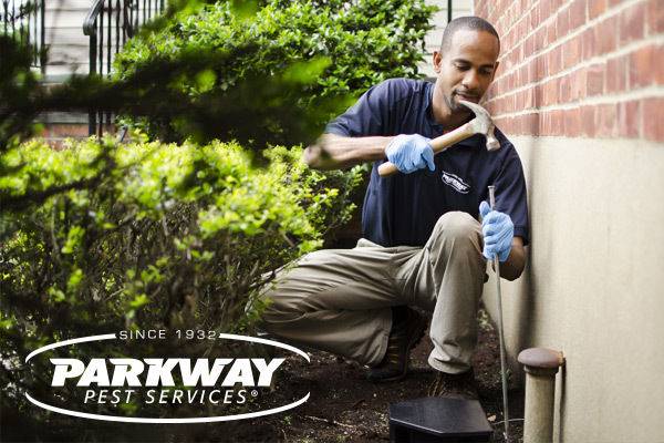  Profile Photos of Parkway Pest Services 100 Jericho Turnpike - Photo 4 of 9