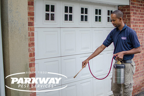 Profile Photos of Parkway Pest Services 100 Jericho Turnpike - Photo 7 of 9