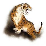 Lucky Tiger Tattoo, #J
