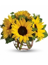  Flower Delivery 103 Little Plains Road 