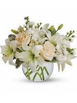  Flower Delivery 103 Little Plains Road 