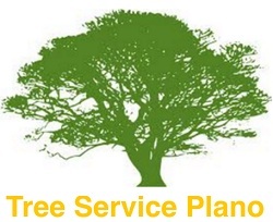  Profile Photos of Tree Service Plano 6629 Canyon Oaks Circle - Photo 2 of 3