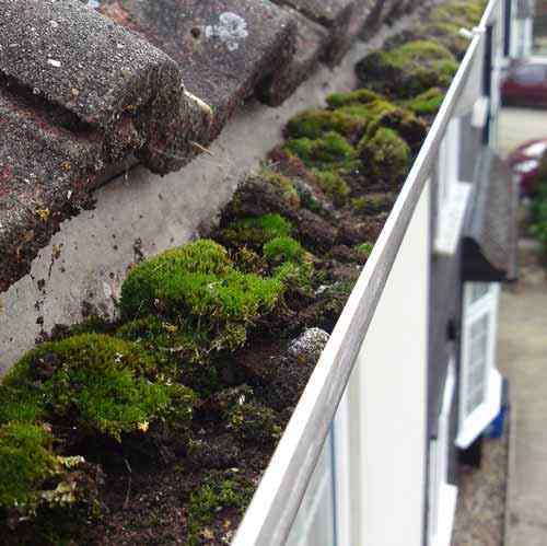  Gutter & uPVC Cleaning, Repair & Installation of Guttertek 18 Redstone Road - Photo 2 of 14