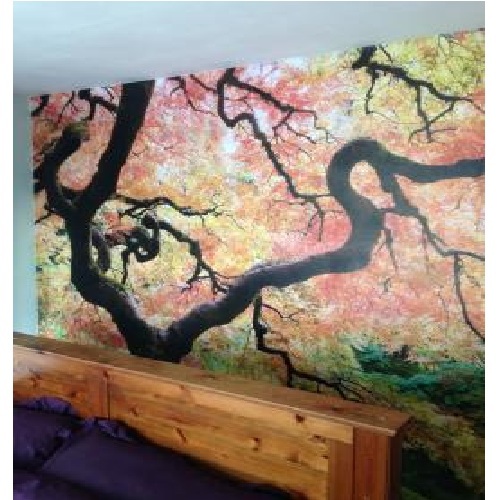  New Album of NIGEL CANN PAINTER & DECORATOR 43 Station Road, Arksey - Photo 1 of 3