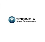 TridIndia Jobs Solutions, Ghaziabad