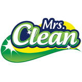 Mrs. Clean House Cleaning, 98052