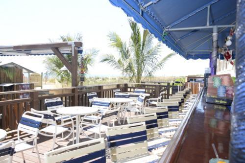  Profile Photos of Clarion Resort Fontainebleau Hotel - Oceanfront 10100 Coastal Highway - Photo 4 of 4