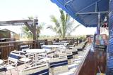  Clarion Resort Fontainebleau Hotel - Oceanfront 10100 Coastal Highway 