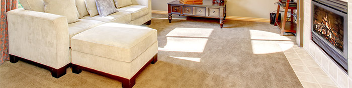  Services Images of Professional Cleaning Services In Adelaide - Adelaide Cleaneasy 8 Fern Hill Road - Photo 1 of 4