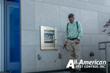 All-American Pest Control, Hendersonville