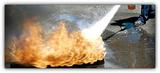 Alliance Fire Protection, Inc. 3201 Corte Malpaso, #307 