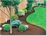 DMT Property Maintenance, Kenosha