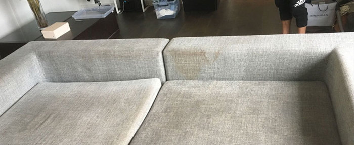  New Album of Fresh Upholstery Cleaning Sydney 43/361 Kent St - Photo 2 of 3