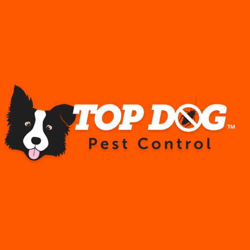  Profile Photos of Top Dog Pest Control Broadbeach 8 Burrendong Road - Photo 1 of 1