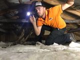 Top Dog Pest Control Broadbeach, Coombabah