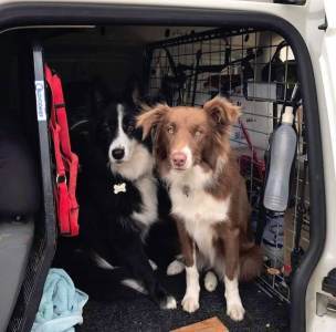  New Album of Top Dog Pest Control Varsity Lakes 8 Burrendong Road - Photo 1 of 5