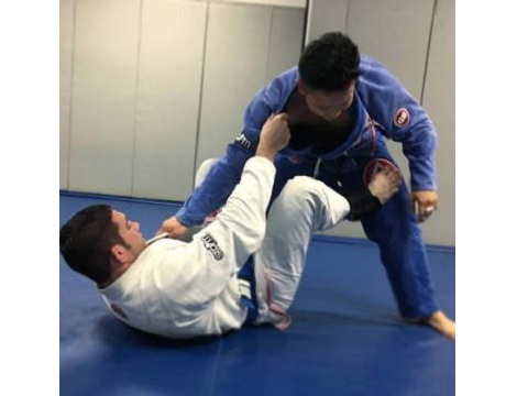  New Album of Gracie Barra Long Island 24 Jericho Turnpike - Photo 3 of 3