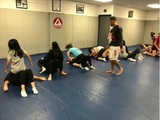  Gracie Barra Long Island 24 Jericho Turnpike 