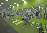  ENRG Fitness 2-3, 115 Canterbury Rd 