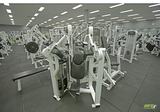  ENRG Fitness 2-3, 115 Canterbury Rd 