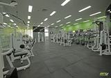  ENRG Fitness 2-3, 115 Canterbury Rd 