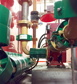 Delighted To Work With Tate Britain. Maximus Green Products of Maximus Green Limited Paragon Works - Photo 3 of 3