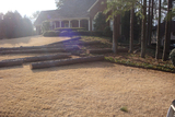 Redfern Tree Service, Roswell